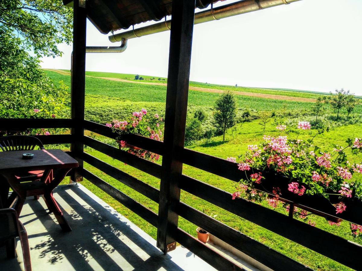 House Naomi Apartment Grabovac (Karlovac)